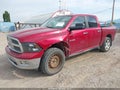 2009 Dodge Ram 1500 — photo 2 of 17 | VIN 1D3HV13T89J504794