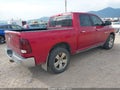 2009 Dodge Ram 1500 — photo 4 of 17 | VIN 1D3HV13T89J504794