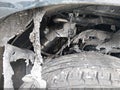 2021 Chevrolet Silverado 1500 — photo 6 of 11 | VIN 3GCPYJEK6MG348958