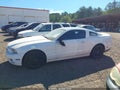 2013 Ford Mustang — photo 15 of 17 | VIN 1ZVBP8AMXD5232132