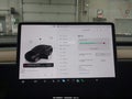 2023 Tesla Model Y — photo 19 of 19 | VIN 7SAYGDEE5PA096102