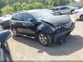 2007 Acura MDX — photo 1 of 16 | VIN 2HNYD28877H501304