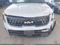 2024 Kia Telluride — photo 6 of 18 | VIN 5XYP3DGCXRG438884