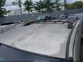 2000 Toyota Sienna — photo 15 of 15 | VIN 4T3ZF13C1YU179500