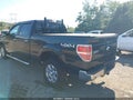 2013 Ford F-150 — photo 3 of 17 | VIN 1FTFW1ET5DFC84326