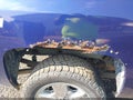 2010 Chevrolet Silverado 1500 — photo 6 of 19 | VIN 1GCSKSE38AZ214491