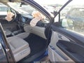 2021 Honda Pilot — photo 5 of 18 | VIN 5FNYF6H56MB009717