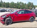 2024 Tesla Model Y — photo 14 of 16 | VIN 7SAYGDEEXRF159779