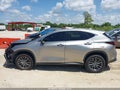 2025 Lexus NX 250 — photo 13 of 15 | VIN 2T2GDCAZ5SC018192