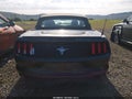 2016 Ford Mustang — photo 17 of 17 | VIN 1FATP8EM9G5299770