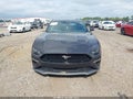 2022 Ford Mustang — photo 13 of 17 | VIN 1FA6P8CF5N5142946