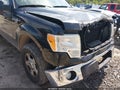 2012 Ford F-150 — photo 18 of 18 | VIN 1FTFX1ET9CFA91303