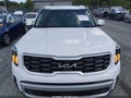 2024 Kia Telluride — photo 12 of 16 | VIN 5XYP5DGC3RG515198