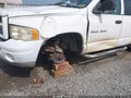 2002 Dodge Ram 1500 — photo 6 of 16 | VIN 1D7HA18N42J215132