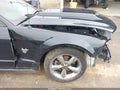 2009 Ford Mustang — photo 21 of 21 | VIN 1ZVHT82H895101876