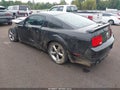 2009 Ford Mustang — photo 3 of 21 | VIN 1ZVHT82H895101876