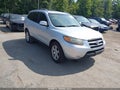 2007 Hyundai Santa Fe — photo 1 of 11 | VIN 5NMSH13E87H020618