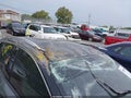 2025 Nissan Kicks — photo 14 of 15 | VIN 3N8AP6DB6SL357174