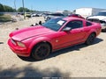 2009 Ford Mustang — photo 2 of 17 | VIN 1ZVHT80N095122200