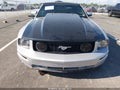 2005 Ford Mustang — photo 6 of 16 | VIN 1ZVHT85H555179859