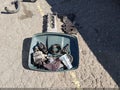 2005 Toyota Corolla — photo 11 of 11 | VIN 2T1BR32E35C460470