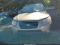 2009 Hyundai Santa Fe — photo 6 of 10 | VIN 5NMSH73E79H296049