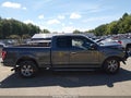 2015 Ford F-150 — photo 14 of 17 | VIN 1FTEX1EP4FFB75418