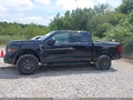 2024 Ford F-150 — photo 14 of 16 | VIN 1FTFW4L85RFC06166