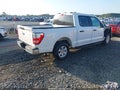 2023 Ford F-150 — photo 4 of 17 | VIN 1FTEW1C53PFB08315