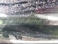 2009 Acura TSX — photo 13 of 13 | VIN JH4CU26609C025922