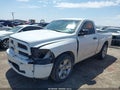 2010 Dodge Ram 1500 — photo 2 of 17 | VIN 3D7JB1EP6AG110063