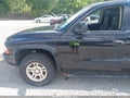 2003 Dodge Durango — photo 6 of 11 | VIN 1D4HS48N13F612801