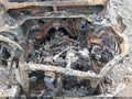 2024 Subaru Forester — photo 10 of 10 | VIN JF2SKAJC0RH518708