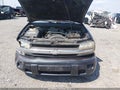 2004 Chevrolet Trailblazer — photo 10 of 17 | VIN 1GNDS13S842202620