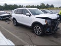 2021 Kia Telluride — photo 19 of 22 | VIN 5XYP64HC7MG192410