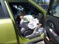 2015 Kia Soul — photo 5 of 11 | VIN KNDJN2A20F7770541