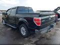 2013 Ford F-150 — photo 3 of 17 | VIN 1FTFW1CF4DKF37821