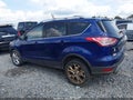 2014 Ford Escape — photo 15 of 17 | VIN 1FMCU9JXXEUC18654