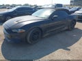 2019 Ford Mustang — photo 2 of 16 | VIN 1FATP8UH3K5151403