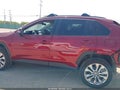 2025 Toyota RAV4 — photo 15 of 17 | VIN 2T3C1RFV9SW434952