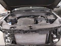 2024 Kia Telluride — photo 10 of 17 | VIN 5XYP5DGC5RG562300
