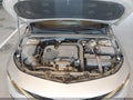 2019 Chevrolet Malibu — photo 10 of 16 | VIN 1G1ZC5ST2KF197927