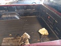 2009 Chevrolet Silverado 1500 — photo 8 of 16 | VIN 1GCEC14X49Z226271