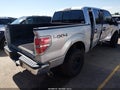 2013 Ford F-150 — photo 4 of 17 | VIN 1FTFW1EF1DFB43697
