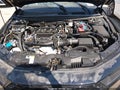 2026 Honda Accord — photo 10 of 11 | VIN 1HGCY1F25TA022841