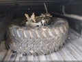 2013 Chevrolet Silverado — photo 12 of 16 | VIN 1GC4C1C89DF205075