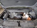 2025 Hyundai Tucson Hybrid — photo 10 of 16 | VIN KM8JBDD10SU305014