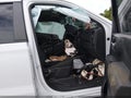 2023 Chevrolet Silverado 1500 — photo 5 of 10 | VIN 3GCPABEK6PG290056