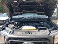 2023 Ford F-150 — photo 10 of 16 | VIN 1FTEW1EP3PKG12451