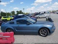 2006 Ford Mustang — photo 13 of 17 | VIN 1ZVHT82H065151294